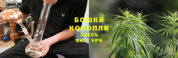 крисы Вязники